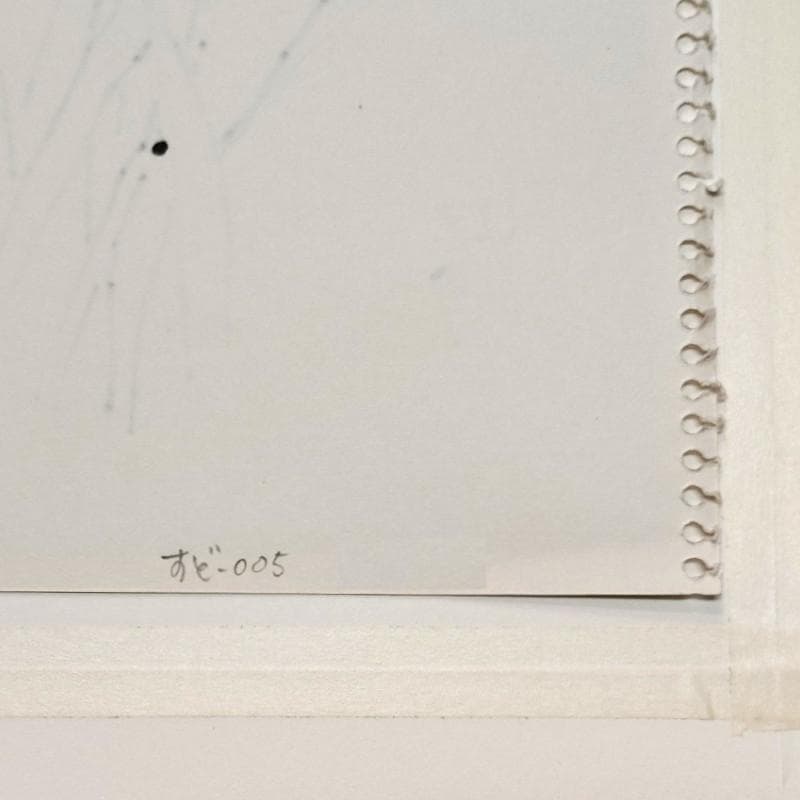 ☆坂本直行☆「 Sinbidium(シンビジウム） 」ペン画　大衣　未使用!