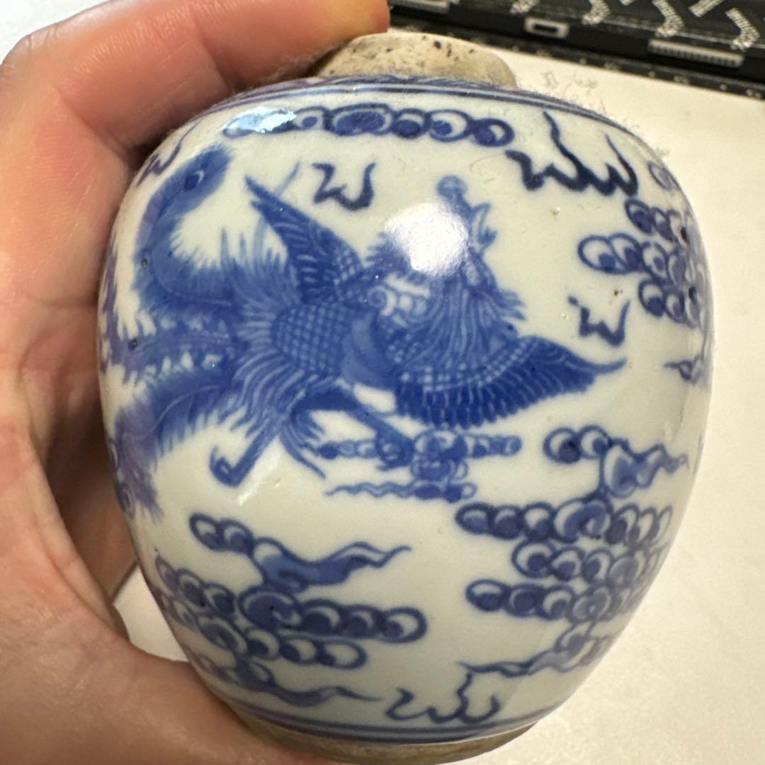 古染付 龍紋獅耳大壷 伝世品焼物 虫食い 青花 呉須