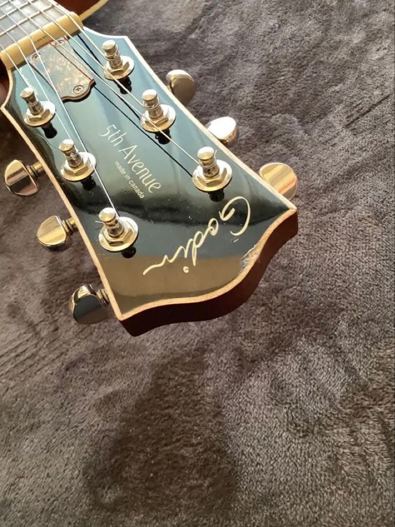 最終価格 GODIN ( ゴダン ギター ) / 5th Avenue カナダ製