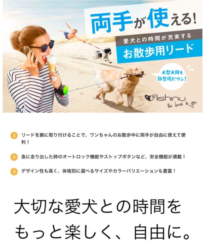 リシニューハンズフリーリード3m 新品