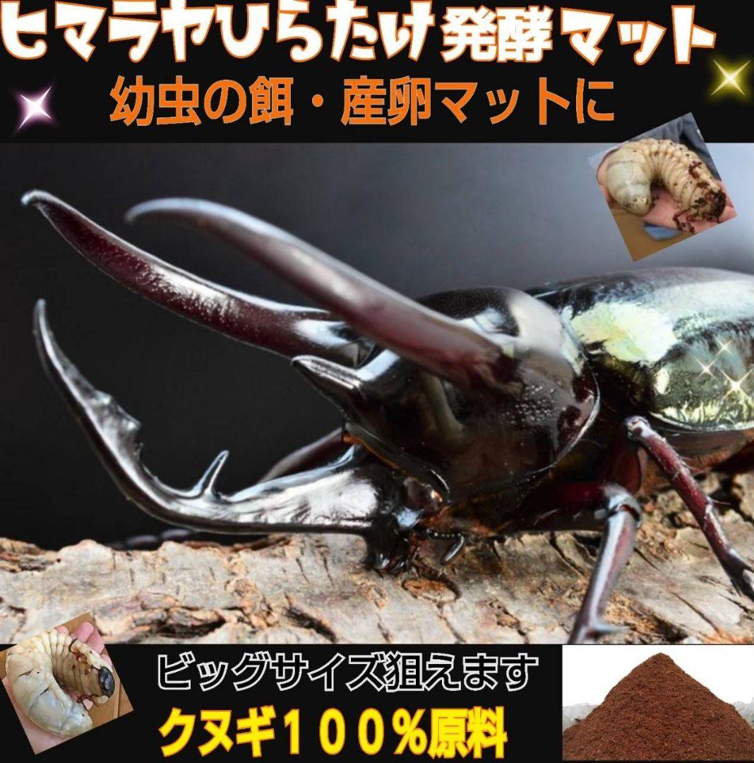 雑虫がわきません！カブトムシ幼虫の餌 産卵に！ 発酵マット【60リットル】