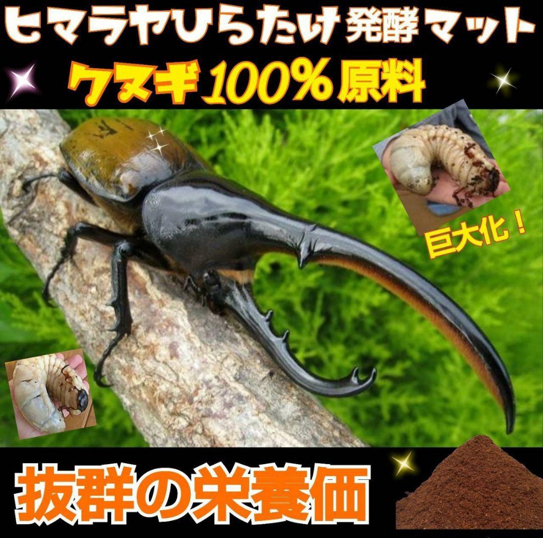 雑虫がわきません！カブトムシ幼虫の餌 産卵に！ 発酵マット【60リットル】