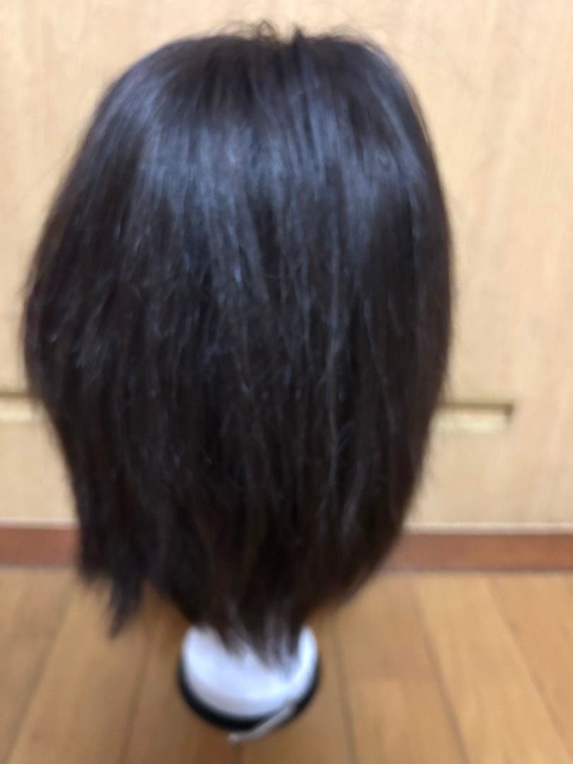 ニコちゃん　ワンステップ　Onestep 人毛100％ウィッグ