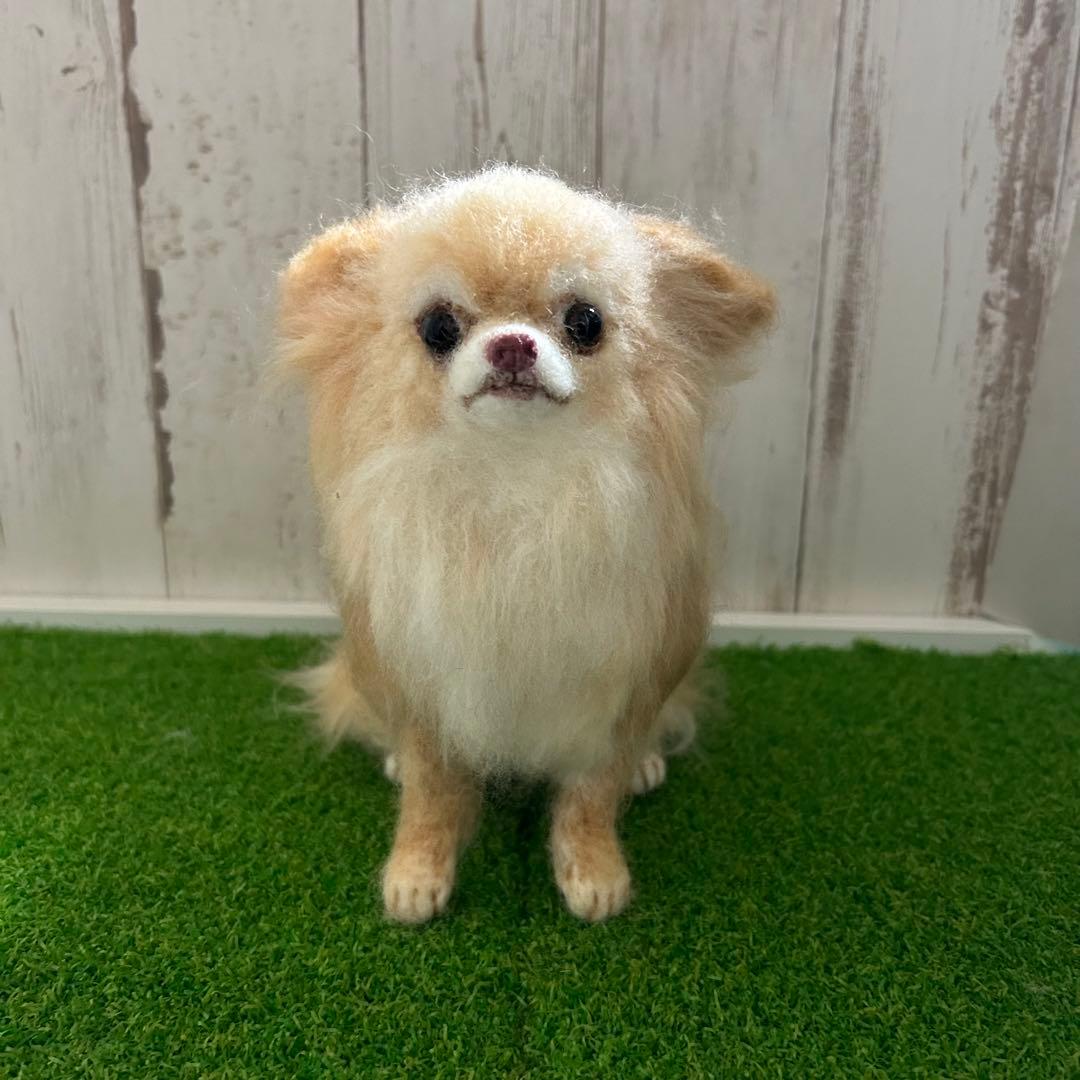 ☆シャロ様専用☆羊毛フェルト【ロングコートチワワ】犬 オーダー