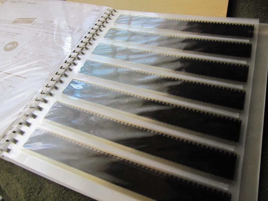 千と千尋の神隠し 35㎜フィルム12コマ×175枚合計2100コマ