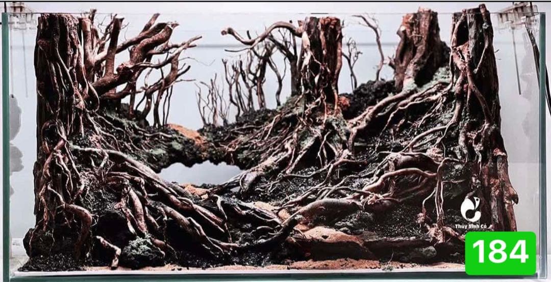 爬虫類ゲー ジ。水槽。水生植物。水槽用流木 。流木 アクアリウム 盆栽流木