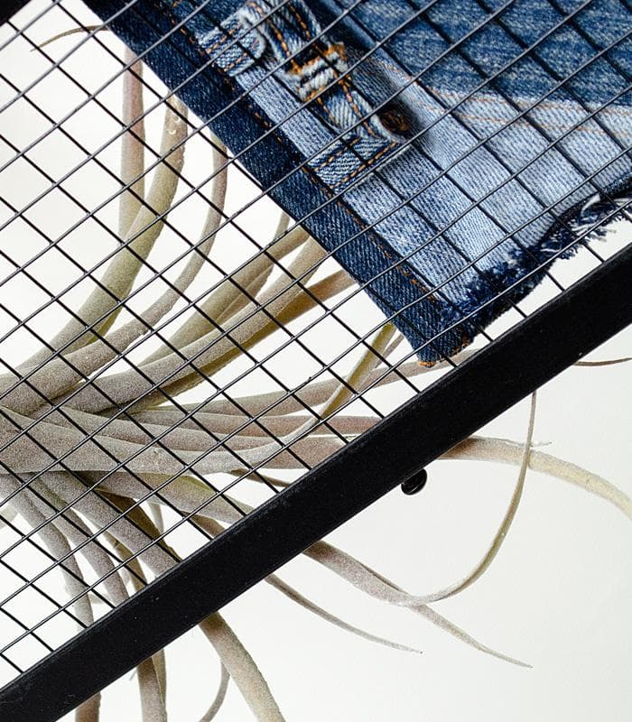 3灯シーリングライト PASSE（パッセ）ディスプレイ照明 本体のみ備品なし