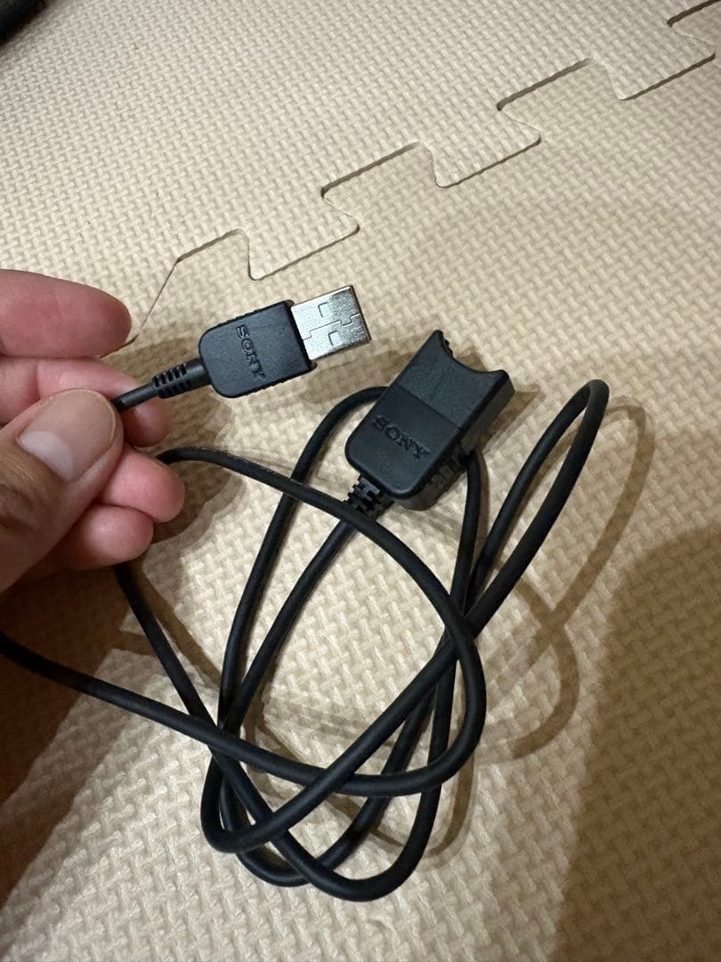 sony HDR-PJ760V プロジェクター内蔵ビデオカメラ