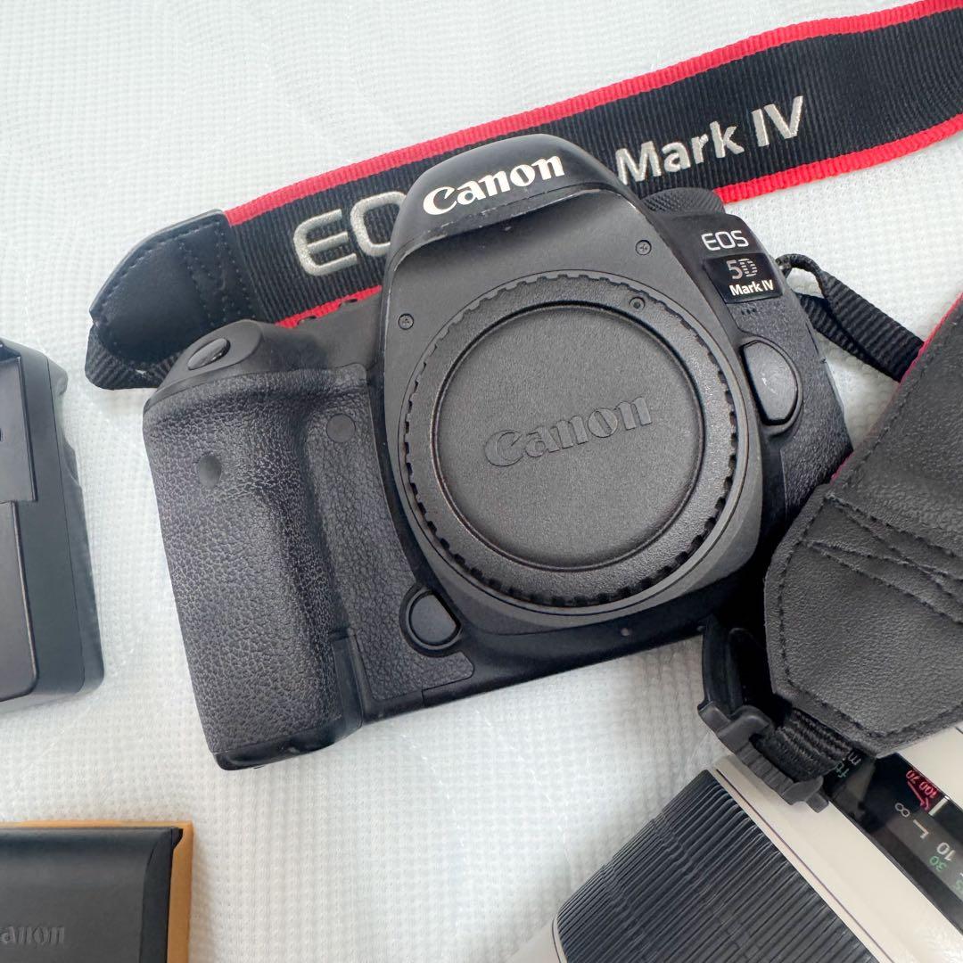 canon EOS 5D Mark IV , 70-200mm 2.8 IS Ⅲ