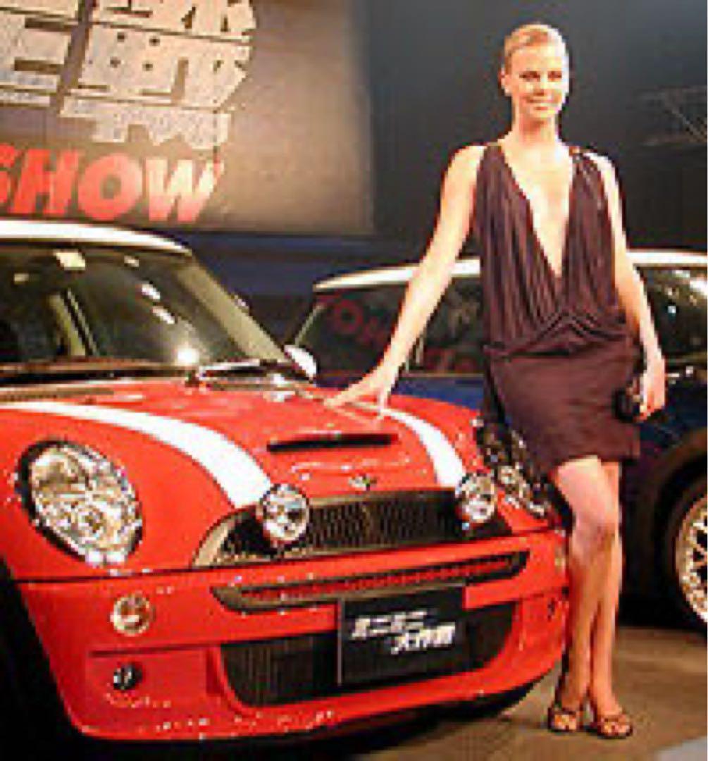 ミニミニ大作戦 フジミ 1/24 ローバー・ミニクーパー ステラ