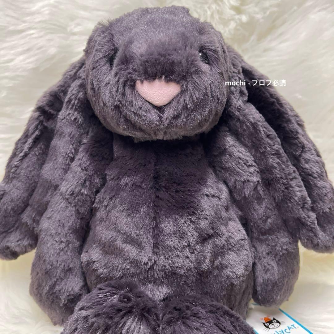  Medium Bashful Inky Bunny 黒 うさぎ