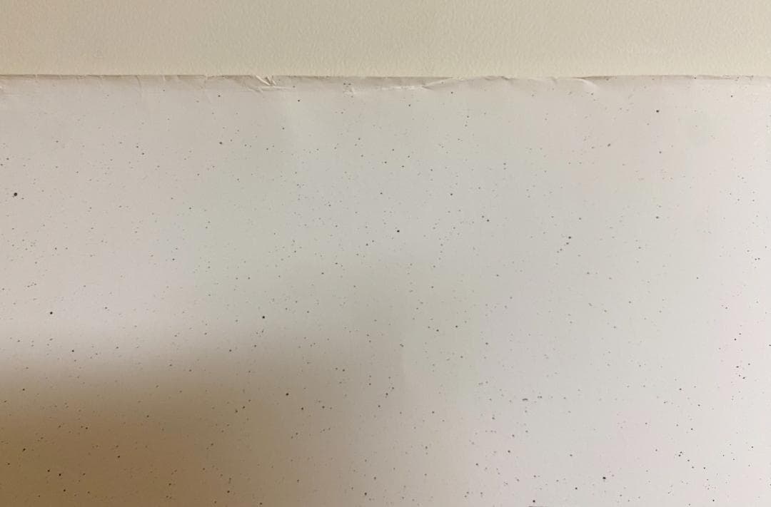 超希少！仲條正義 2002年作『仲條のフジのヤマイ』シリーズ【富士ノ山】