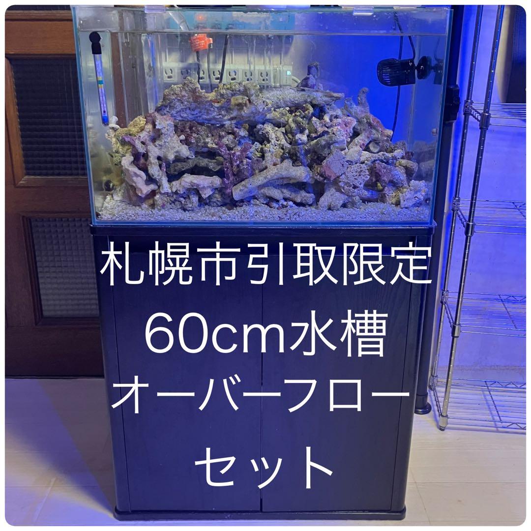 札幌市引き取り限定60cmオーバーフロー水槽セット - メルカリ