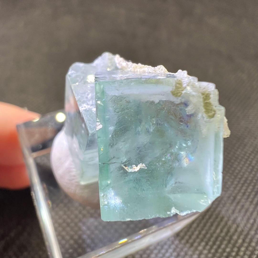 ヤオガンシャン ライトグリーン ブルーウィンドウ パープルファントム