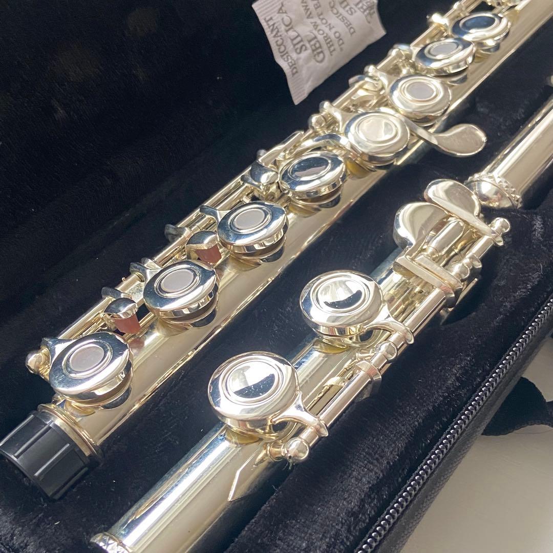 【初心者セット】Eastar フルート 専用ケース&お手入れセット付