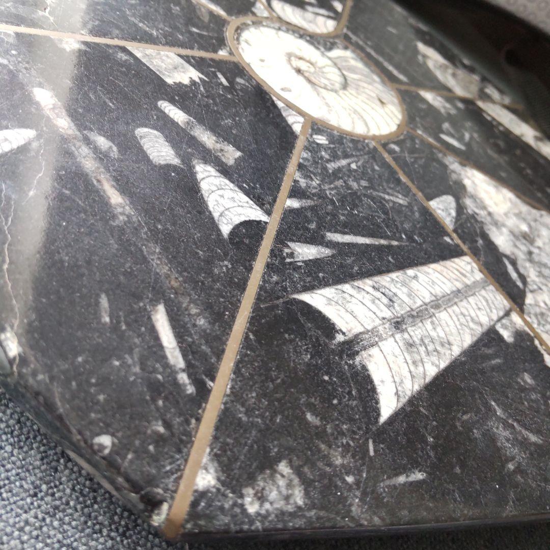 レア！アンモナイト化石 他生物の大理石八角形オブジェプレート！