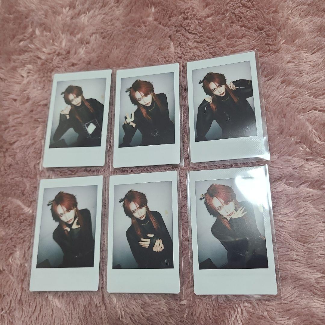 零[Hz] TEIKAさんチェキ50枚+オマケ(写真6枚目) 零Hz TEIKA