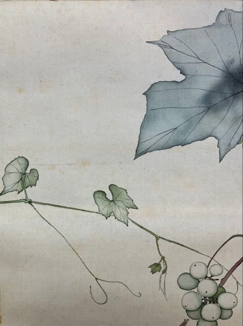 安田靫彦【葡萄】画 絹本 掛軸 共箱 2重箱（検索ワード／前田青邨）