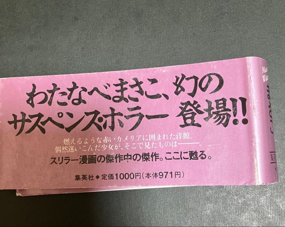 カメリア館 わたなべまさこ 第1刷発行