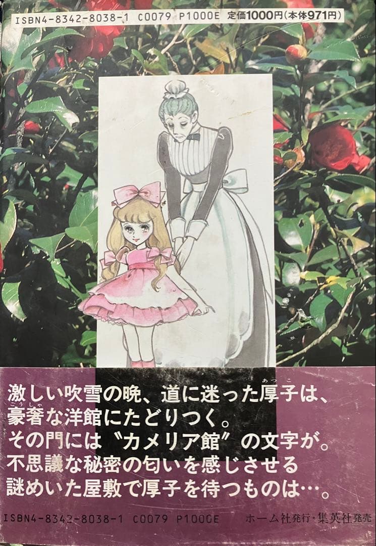 カメリア館 わたなべまさこ 第1刷発行