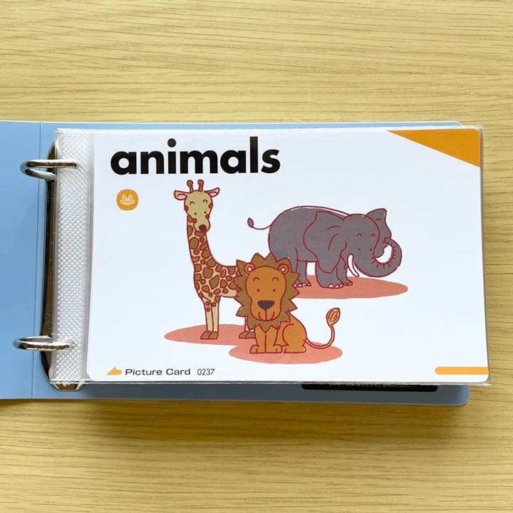 送料無料】ペッピーキッズクラブ ペッピーキッズ カード収納セット