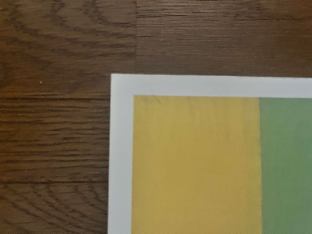 J*I様 美品　mark gonzales social problem 作品集