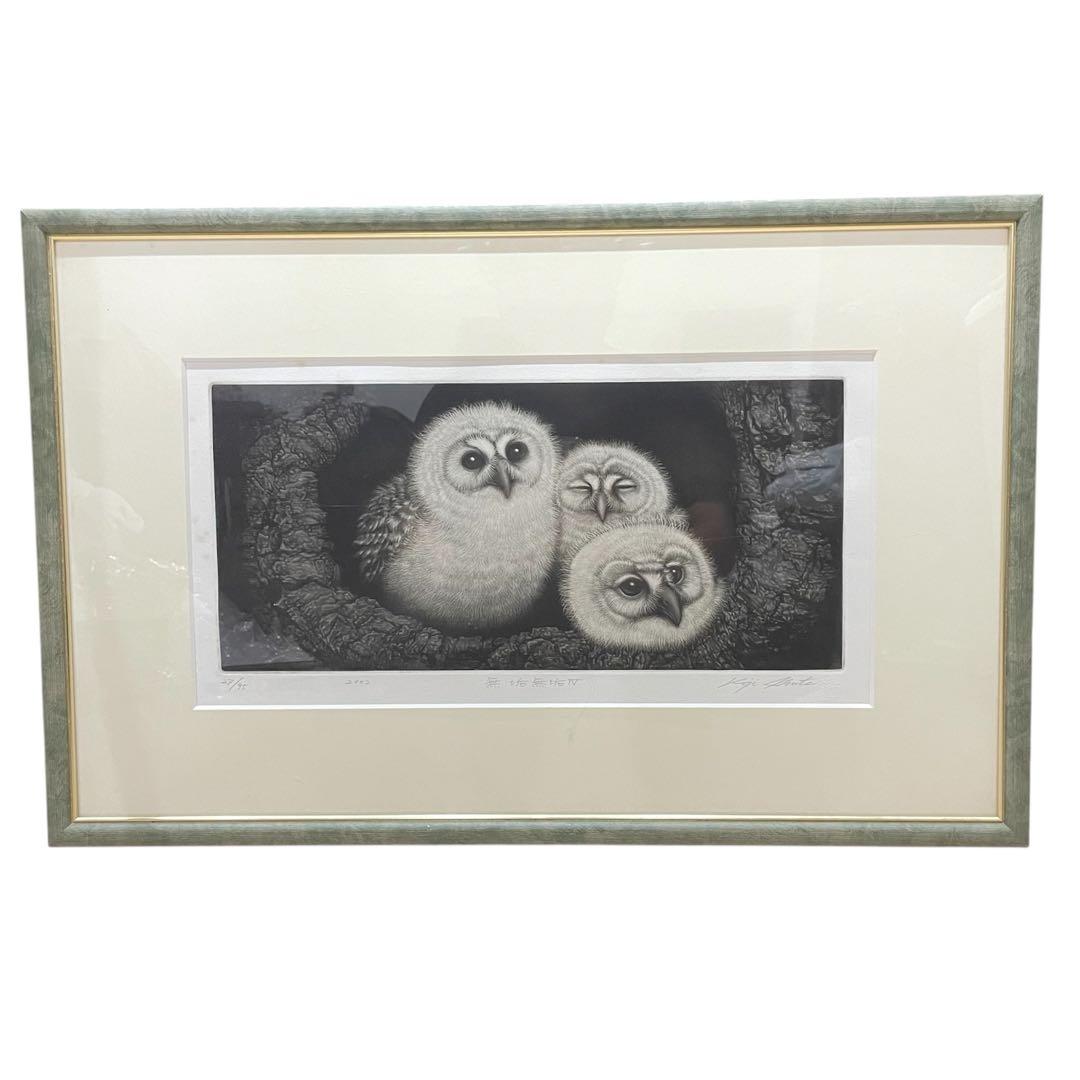 生田宏司 ギャラクシーカムイ フクロウ 銅版画 メゾチント 生田宏司