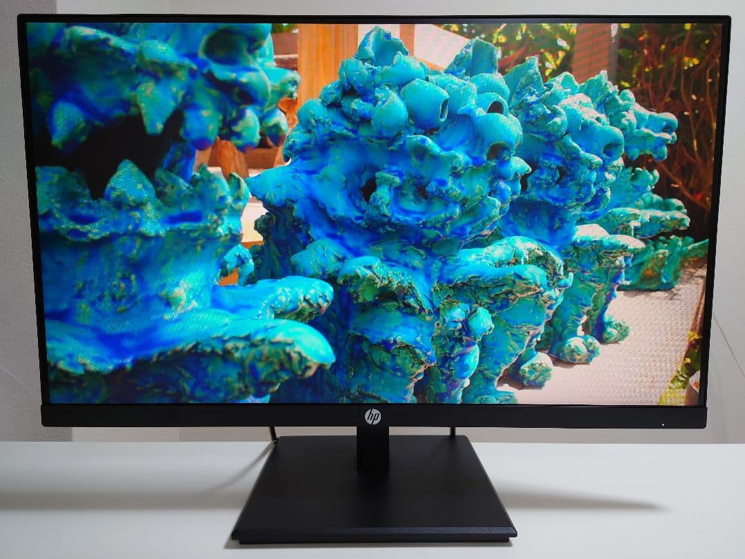 HP製ディスプレイP244 [23.8インチ ブラック]1号機 honey mustard HP