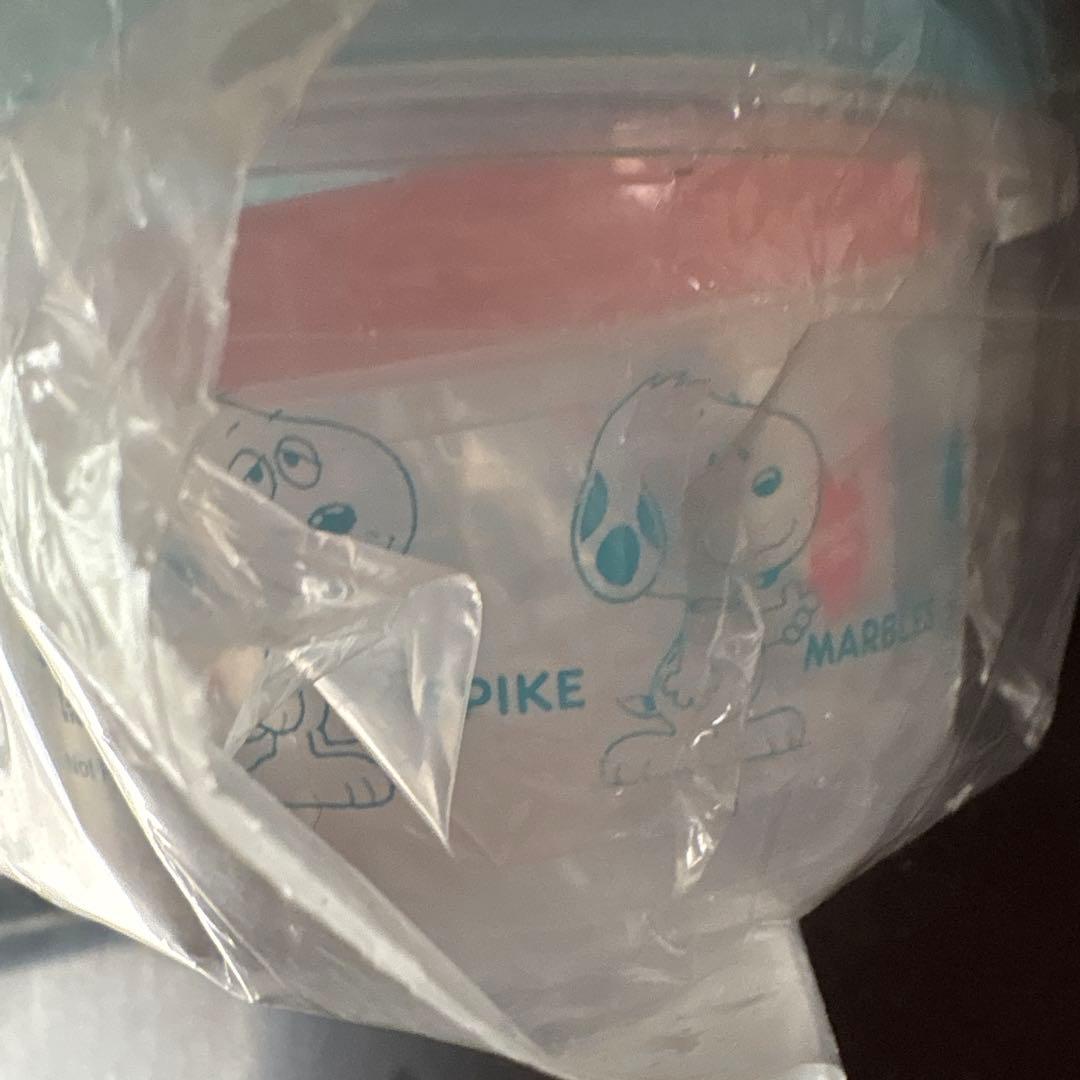 希少 スヌーピータウン限定 スヌーピー デイジーヒルパピーズ 5点セット