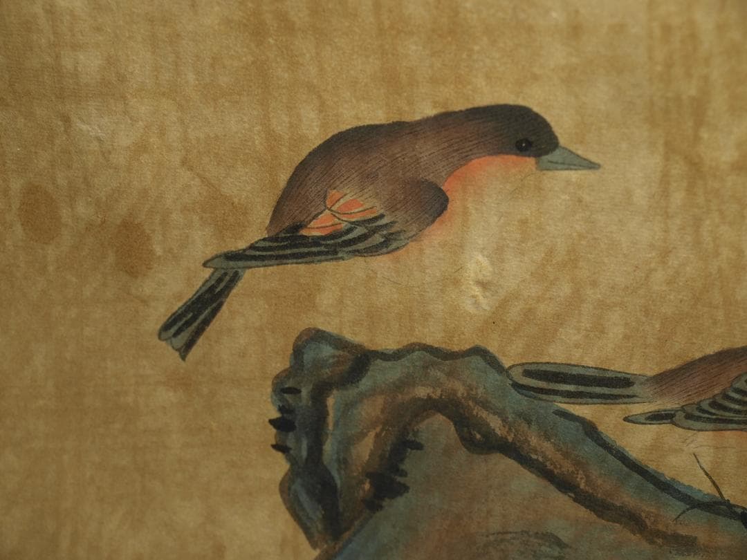 中国明時代の絵 激安骨董品 肉筆保証BD081A2-4