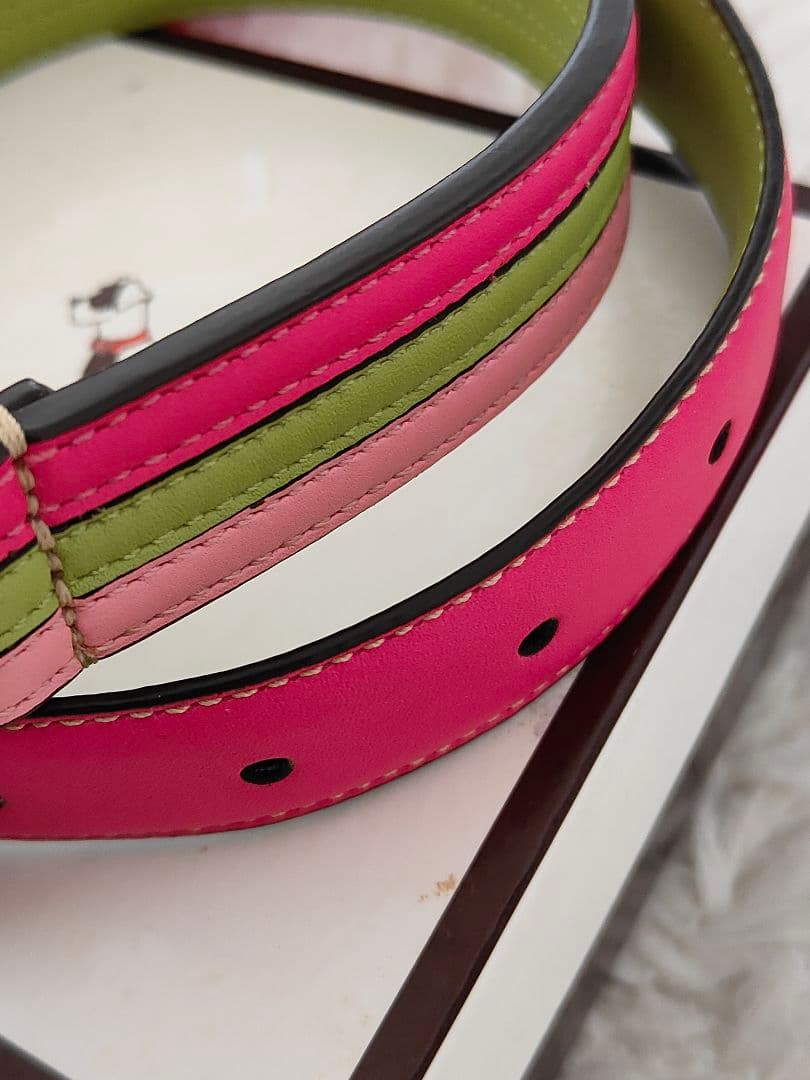 新品 COACH コーチ カラフル レザー犬用首輪 L 大型犬 中型犬