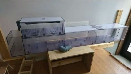 くみちゃん 150アクリル水槽用上部フィルター ウール引き出し式 150