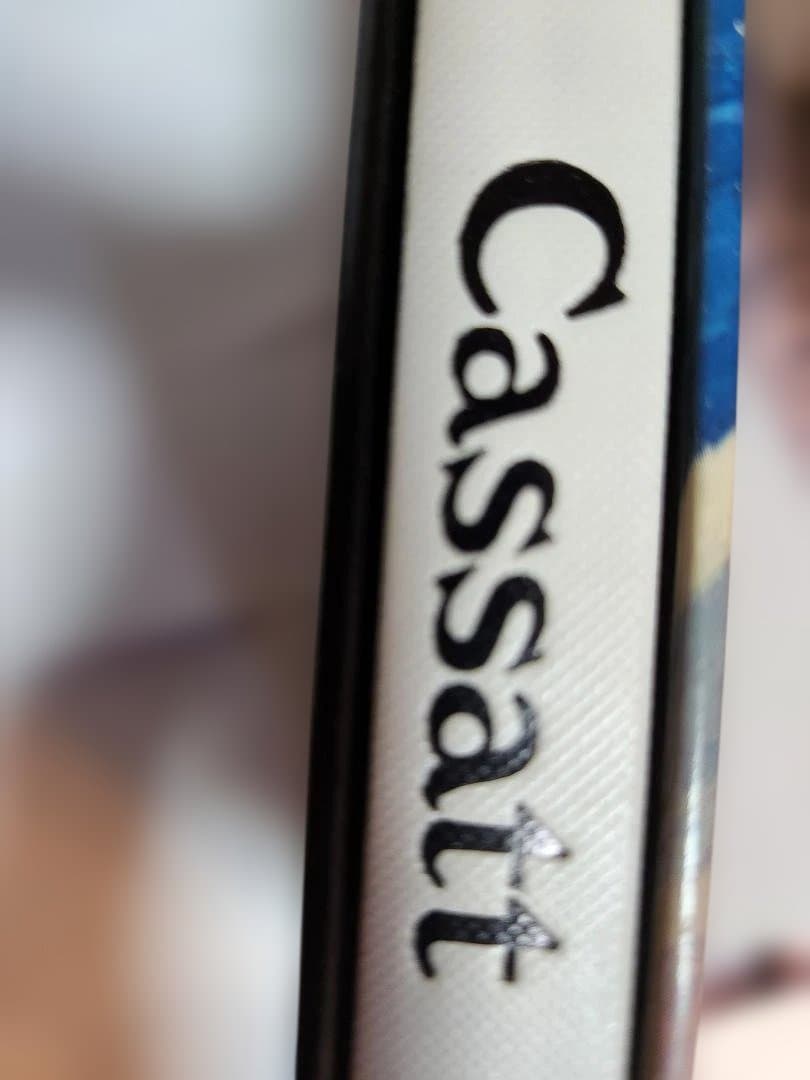 Cassatt 印象派 画家本