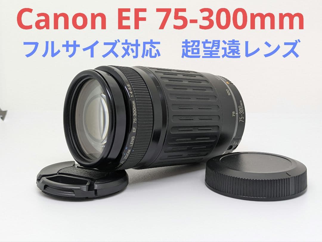 Canon EOS 3000 + Sigmaレンズセット