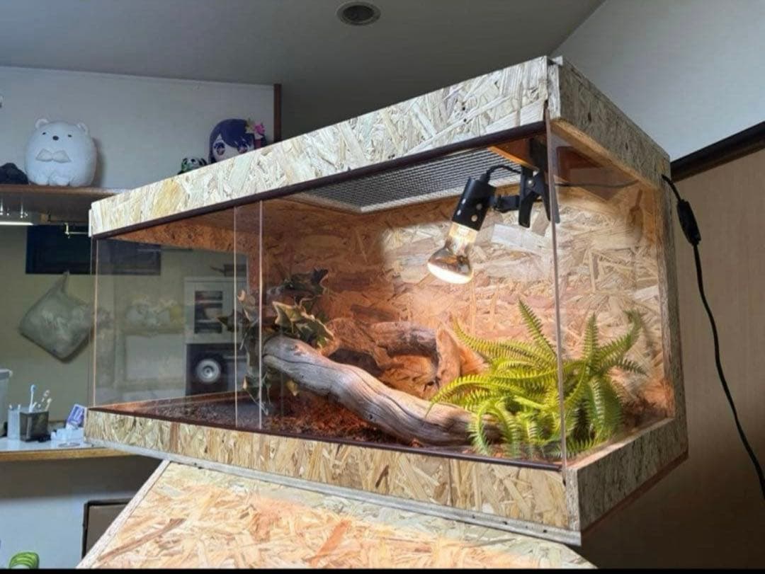 爬虫類ケージ 80×40×40 サイドアクリル 飼育ケージ ケージ 爬虫類