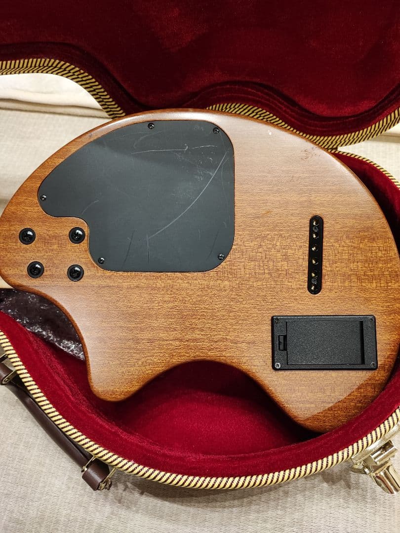 販売済み ZO-3A ハードケース付き エレアコタイプ フェルナンデス