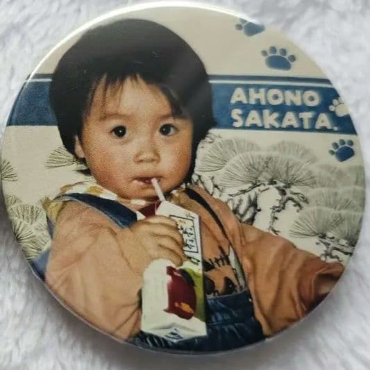 浦島坂田船 あほの坂田 となりの坂田 缶バッジ メモログ ハロパ さかわん