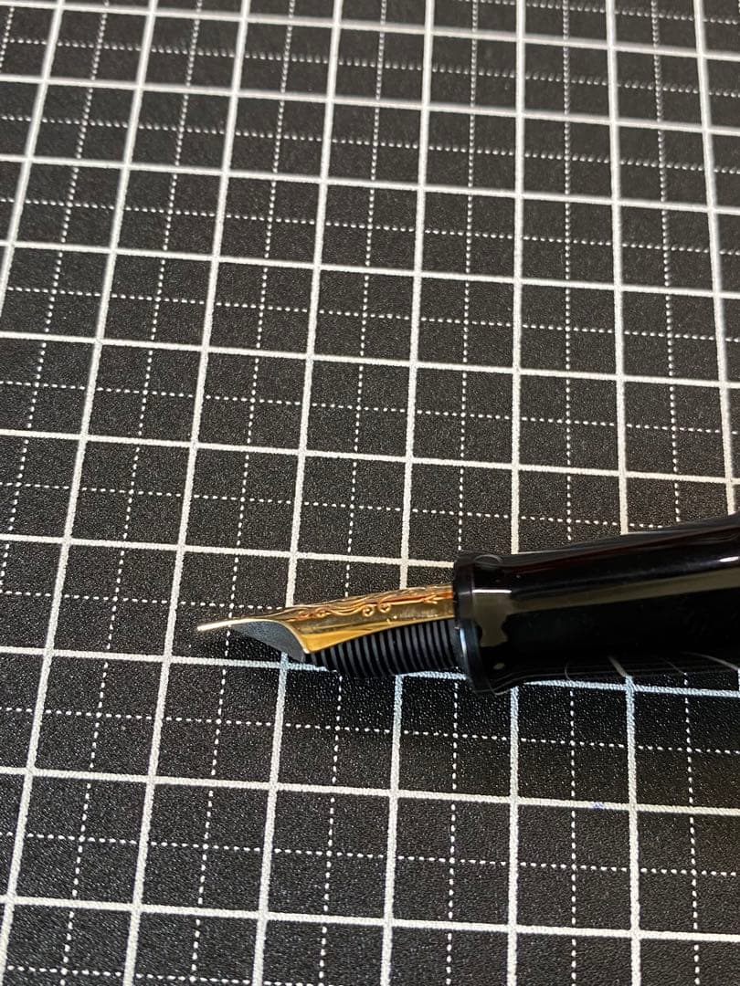 AURORA MARE 万年筆 字幅F