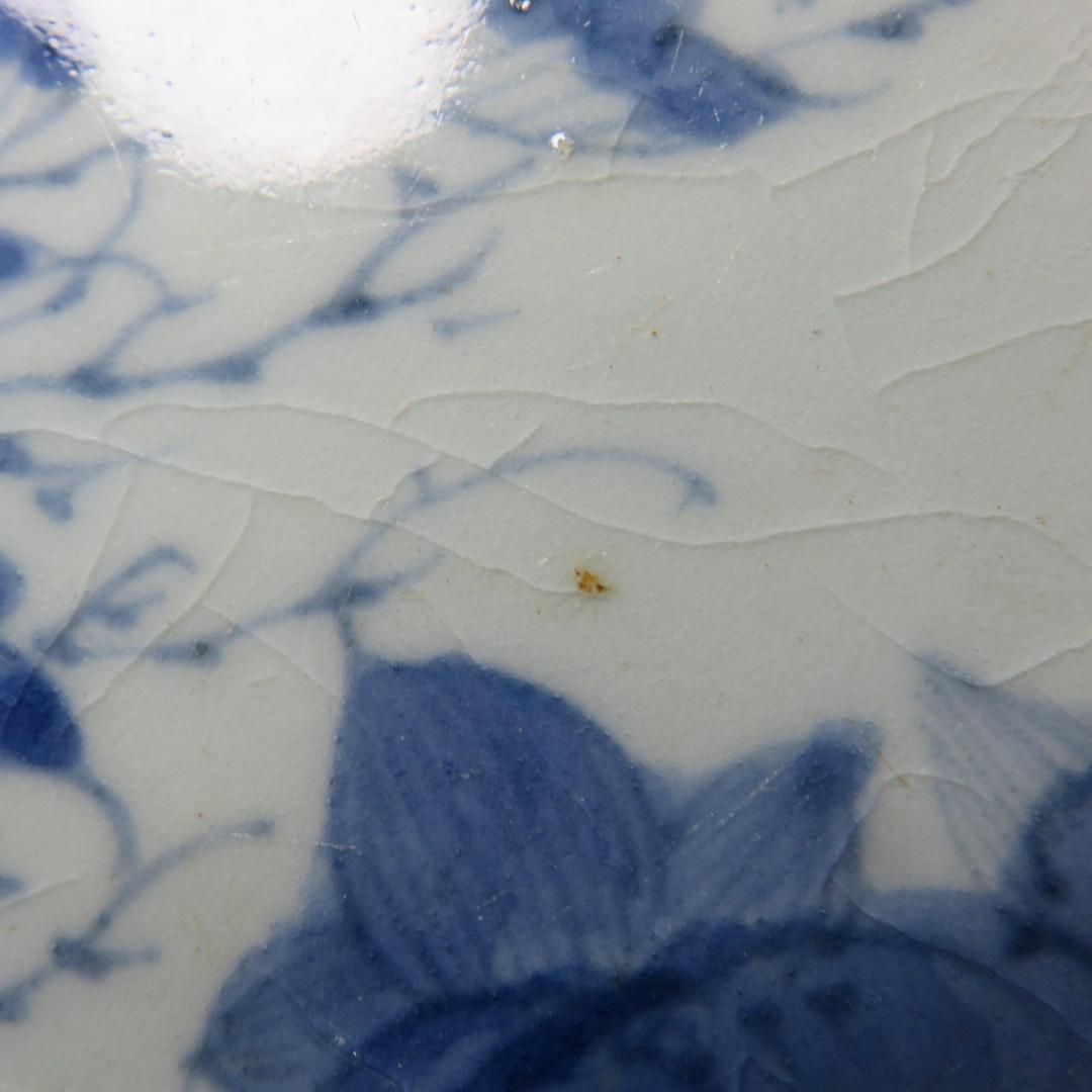 古伊万里 中皿 染付 4枚 甘手 蛤チップ 歪み 貫入 獅子 江戸 - メルカリ