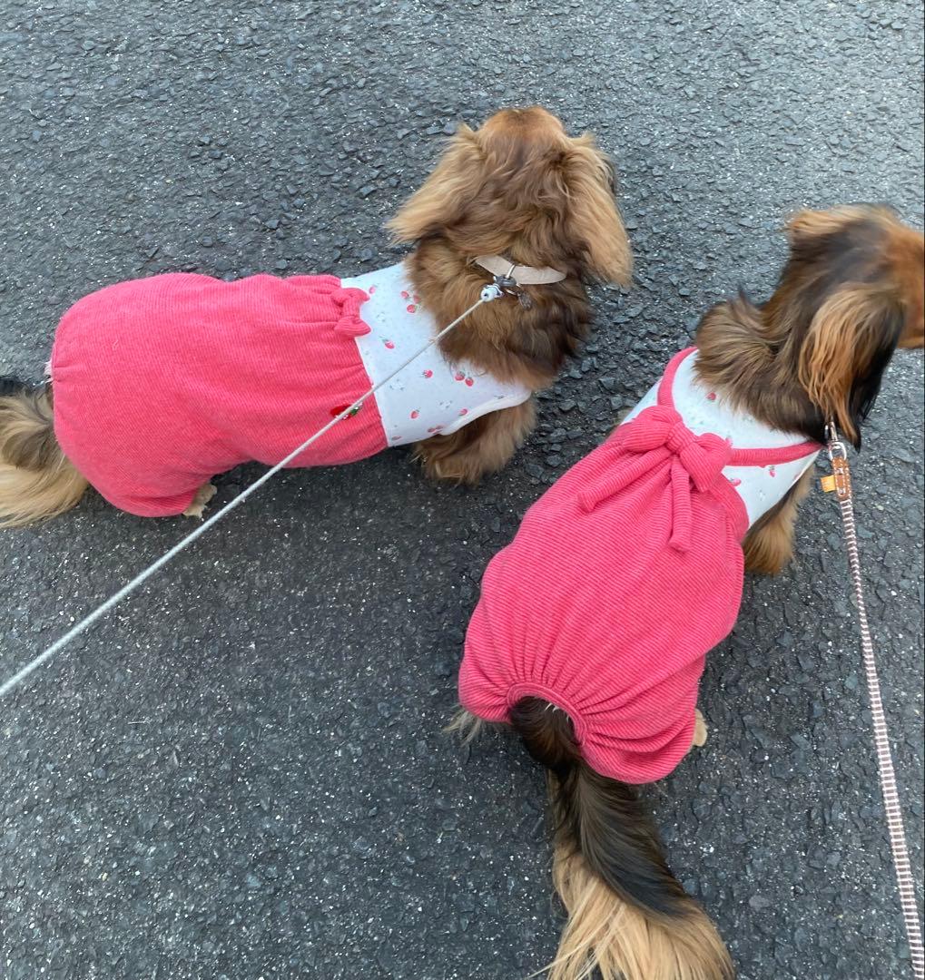ダックスフンド服 DM カボパンロンパース つなぎ 犬服 わんこ 苺