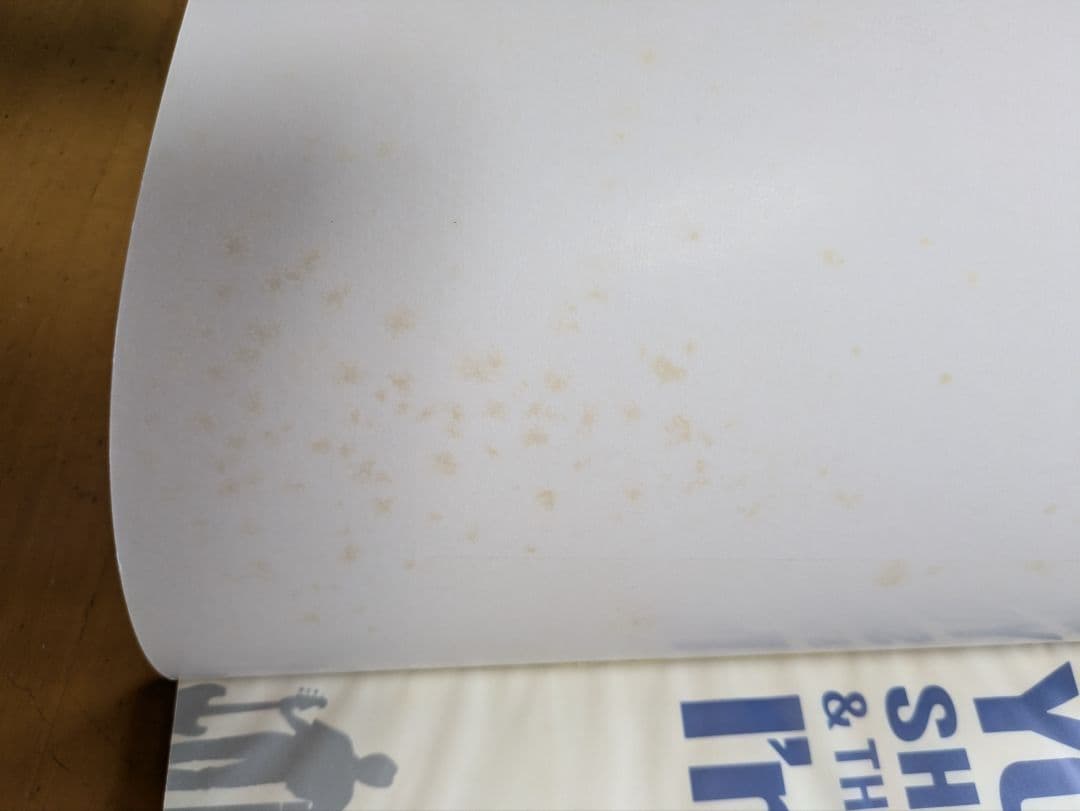 浜田省吾 パンフレット6冊まとめ売り - メルカリ