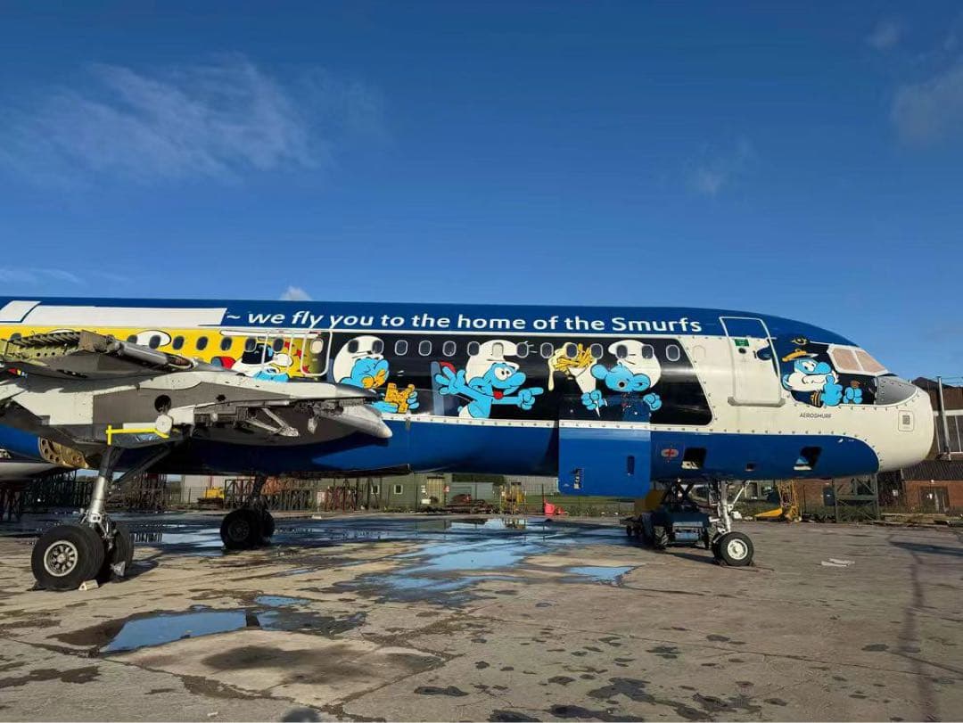 SN A320 Airlinertags ブリュッセル航空スマーフ コラボ特別機 - メルカリ