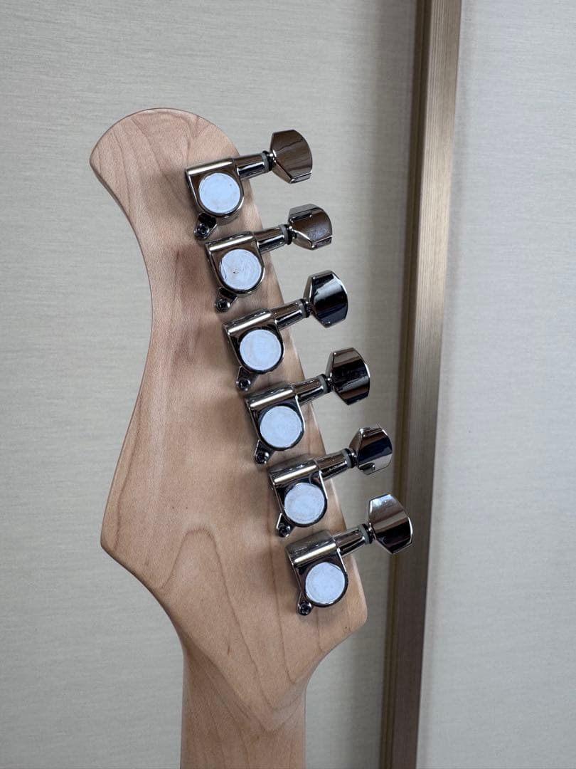 Bacchus エレキギター ブラック