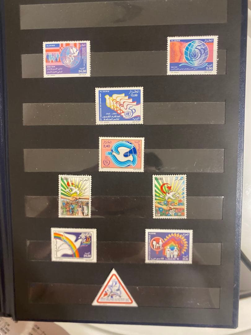 EXPO 2025 Algerian Stamps + Case