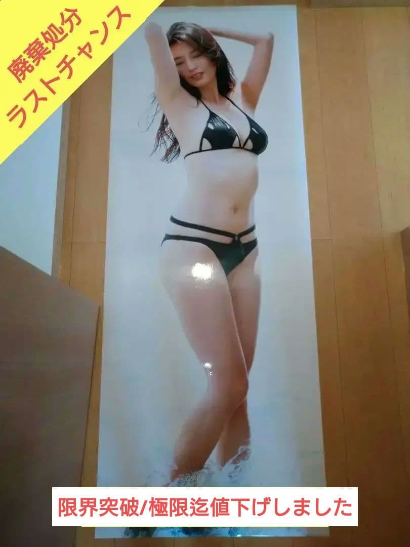 限界突破極限迄値下げしました/完売必死 橋本マナミ ⑩ 等身大ポスター