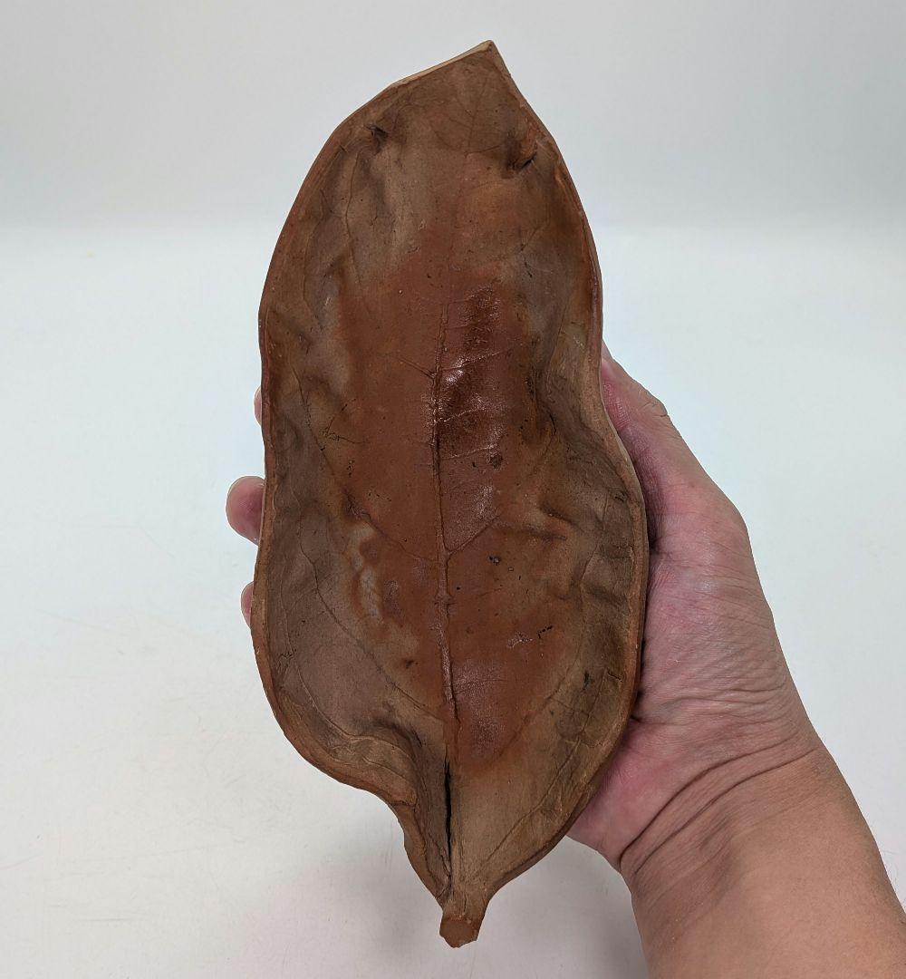 備前市無形文化財 木村玉舟 備前焼 緋襷葉皿 食器 皿鉢 中鉢 菓子器 菓子皿