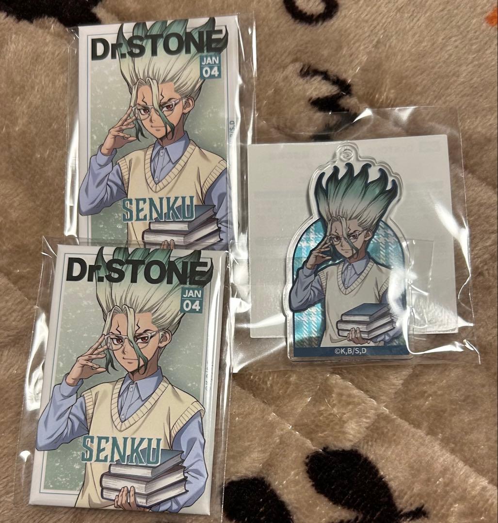 石神千空 読書の秋編 くじ引き堂 缶バッジ・アクキー セット - メルカリ