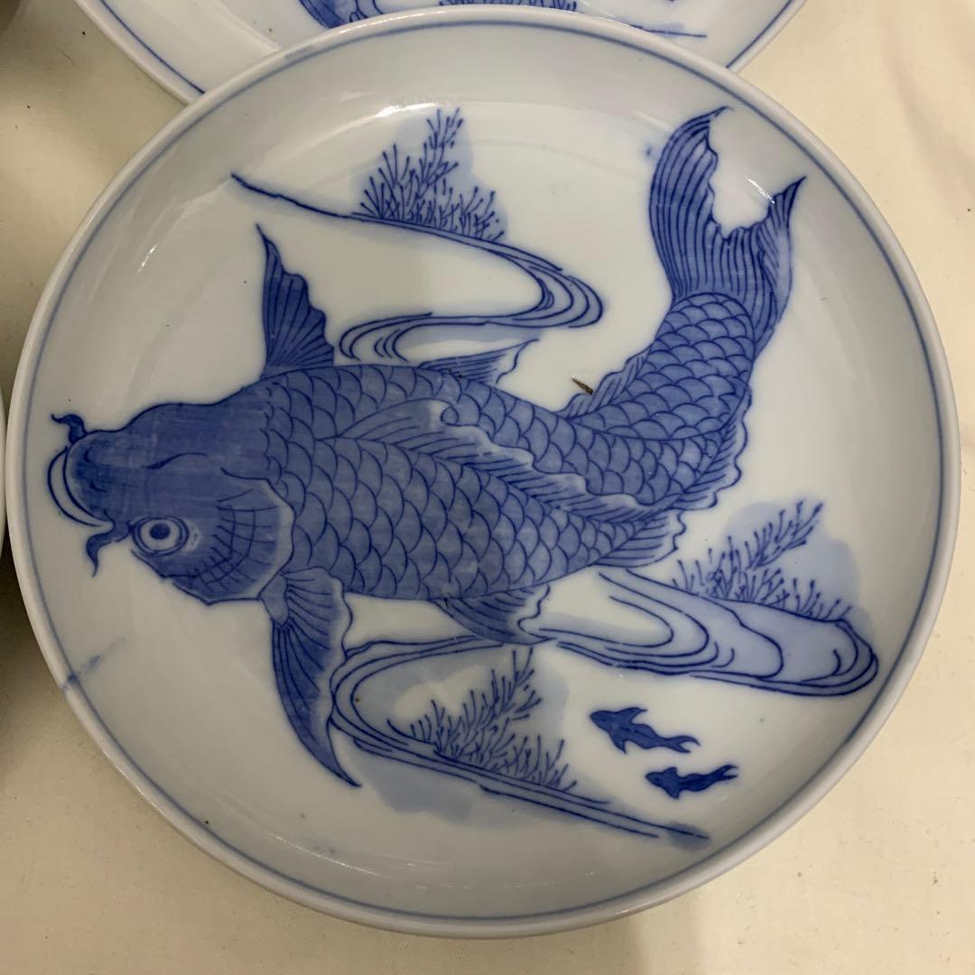 伊万里 『染付 鯉文皿 』 大皿 径約40㎝ ◉本日限定◉古