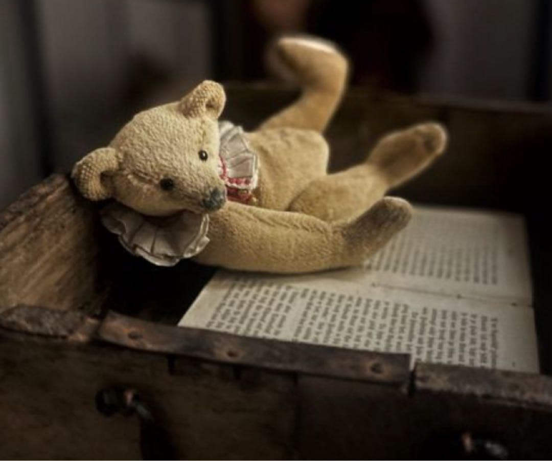 テディベア　海外作家　アーティストベア　約20cm