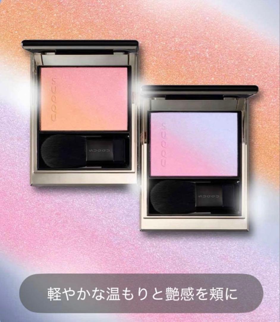 【新品未使用】ブラーリング カラー ブラッシュ 113 冬織 オンライン限定色